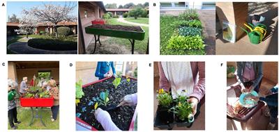 Effects of an outdoor horticultural activities program on cognitive and behavioral functioning, mood, and perceived quality of life in people with dementia: a pilot study